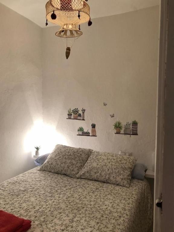 Casa Bheinn 阿拉色那 外观 照片